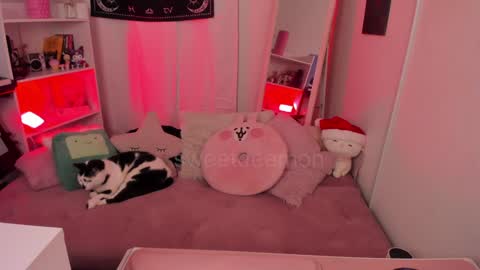 Snapshot of sweetdeemon chatting on 12-25-24, 03:50 Vernica Help me to reach 80 likes thank you online show from 12-25-24, 03:50