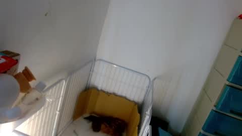 Snapshot of sweetlilly_18 chatting on 01-07-25, 05:20 Lilly online show from 01-07-25, 05:20