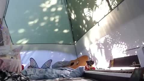 Snapshot of sweetnissapril chatting on 11-21-25, 04:16 April online show from 11-21-25, 04:16