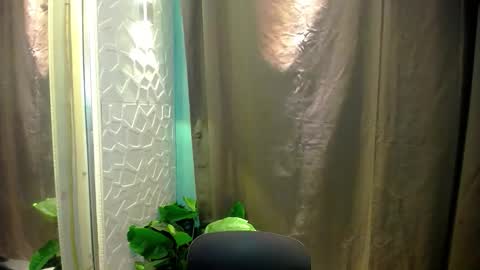 sweetspecial_jessyxx online show from 04-14-26, 06:58