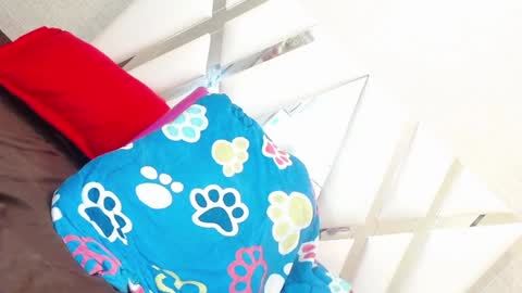 sweetsultrysiren online show from 01-23-25, 06:35