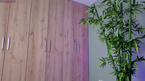    online show from 01-23-25, 04:48