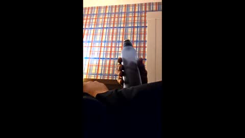 swinginghammer1987 online show from 03-30-26, 08:04