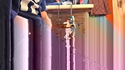 swinginghammer1987 online show from 04-11-26, 09:41