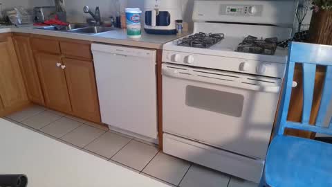 Snapshot of switchykitty chatting on 12-08-24, 07:11 ashley blayde online show from 12-08-24, 07:11