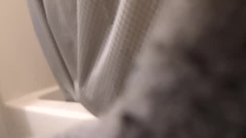 swollpole2112 online show from 09-14-25, 06:12