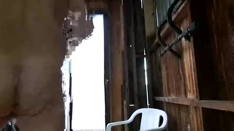 Snapshot of syevecrl chatting on 10-27-25, 12:47 syevecrl online show from 10-27-25, 12:47