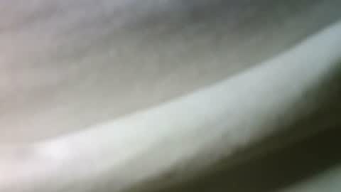 syrius57920 online show from 02-22-25, 05:46