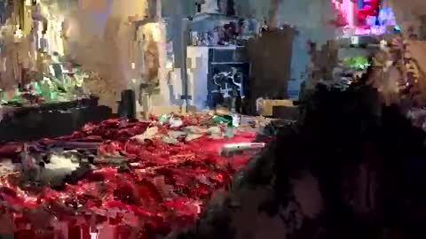 tailorfitted online show from 10-16-25, 10:38