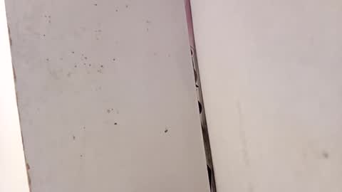 Snapshot of tall6feet7inch chatting on 02-15-26, 03:31 tall6feet7inch online show from 02-15-26, 03:31