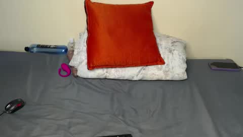 Snapshot of tally_sam chatting on 02-22-25, 11:13 tally_sam online show from 02-22-25, 11:13