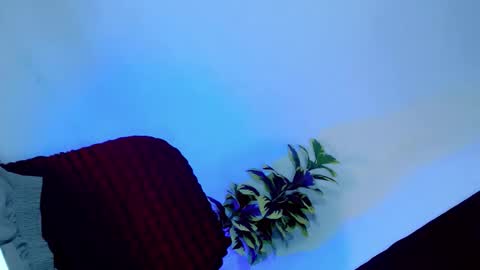 Snapshot of tamera_cummer0969 chatting on 11-20-25, 07:57 tamera_cummer0969 online show from 11-20-25, 07:57