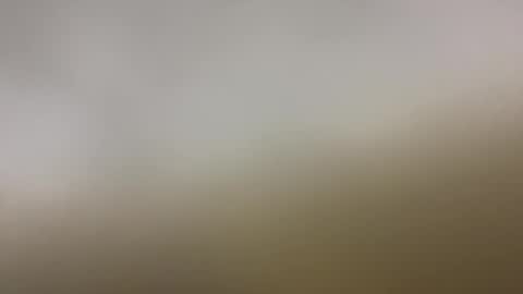 tampabay_pirate online show from 01-10-26, 06:37