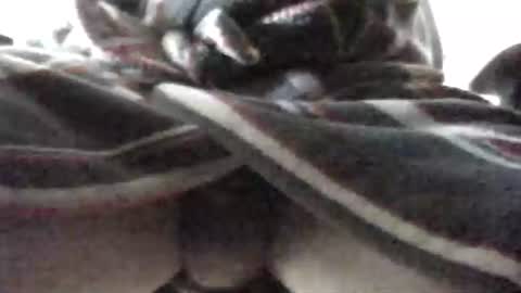 Snapshot of tap_b chatting on 02-16-25, 07:48 Patrick online show from 02-16-25, 07:48