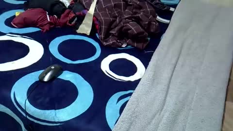 Snapshot of tastie_t chatting on 11-01-25, 06:04 tastie_t online show from 11-01-25, 06:04