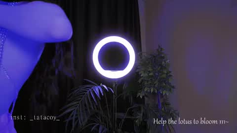 TataCoy online show from 10-30-25, 02:07