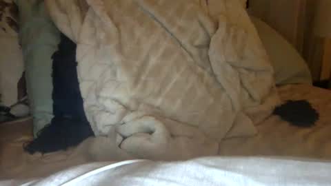 Snapshot of tatiannatease chatting on 01-11-25, 10:18 Tatianna Marie online show from 01-11-25, 10:18