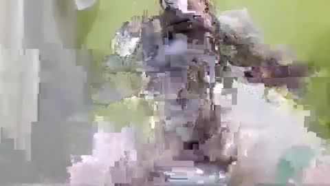 tattoo3333 online show from 09-14-25, 02:38