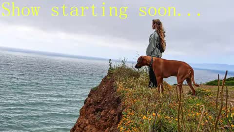 TATUM  ALL MY LINKS  online show from 02-02-25, 11:21