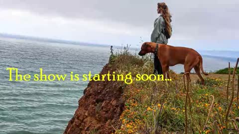 TATUM  ALL MY LINKS  online show from 11-19-25, 11:05