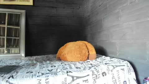 Snapshot of taurus_boy1 chatting on 01-17-25, 06:02 T A U R U S online show from 01-17-25, 06:02