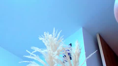 Snapshot of tayler_swift1 chatting on 02-13-26, 06:37 tayler_swift1 online show from 02-13-26, 06:37