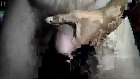 taylor3made online show from 02-22-26, 08:46