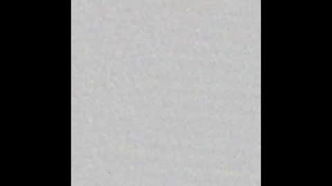  Little Taylor  online show from 02-14-25, 02:50