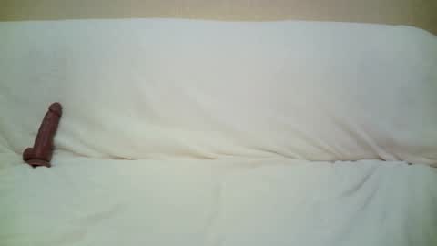 Snapshot of teach4kitty chatting on 09-29-25, 07:30 teach4kitty online show from 09-29-25, 07:30