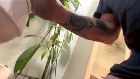 Snapshot of teet69 chatting on 03-10-26, 10:15 teet69 online show from 03-10-26, 10:15