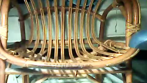 Snapshot of telecommandedu26 chatting on 02-07-25, 11:23 telecommandedu26 online show from 02-07-25, 11:23