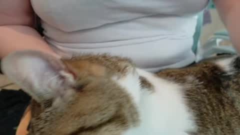 Pixie and Tentacle Overlord online show from 05-13-26, 06:16