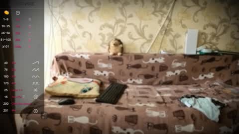 Ada  online show from 01-10-26, 01:24