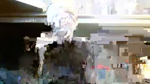 Snapshot of terdy2366 chatting on 10-07-25, 03:25 terdy2366 online show from 10-07-25, 03:25