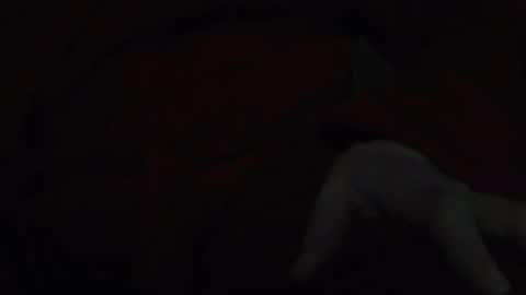 tetuo2 online show from 11-17-25, 05:13