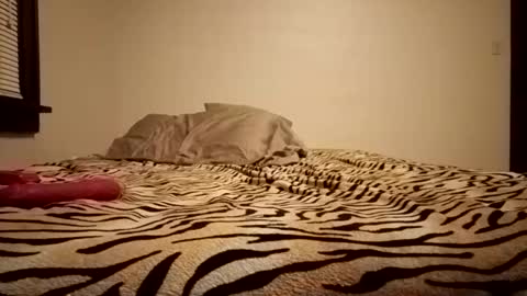 thatman1997655 online show from 11-11-25, 04:12