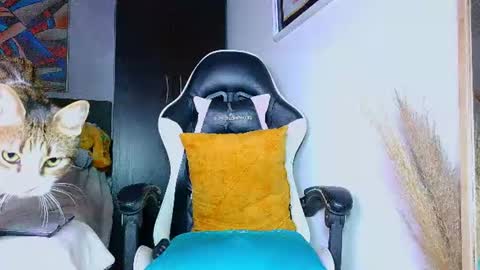 the dog lian online show from 07-14-26, 12:24