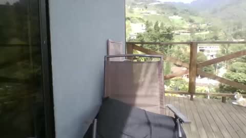 walkers online show from 04-24-26, 02:19