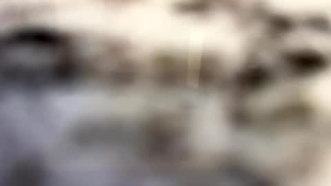 Snapshot of thebodythefeet chatting on 01-04-25, 07:23 thebodythefeet online show from 01-04-25, 07:23