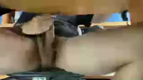 thecamenjoyer24 online show from 06-12-26, 12:26