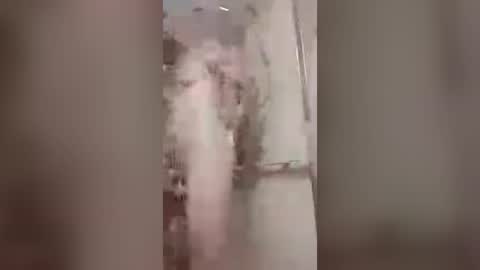 thedailyshower online show from 07-06-26, 03:25