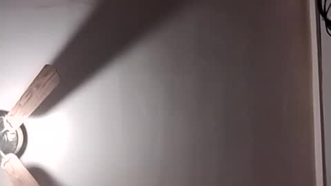 thedailyshower online show from 08-04-26, 04:37
