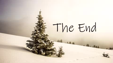 Snapshot of thedome372 chatting on 03-03-25, 10:42 thedome372 online show from 03-03-25, 10:42