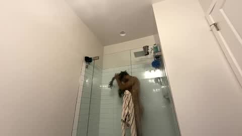 Snapshot of theekingcapo chatting on 12-26-24, 10:52 king capo thee online show from 12-26-24, 10:52