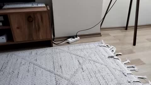 Snapshot of thefckngcber chatting on 09-28-25, 09:53 thefckngcber online show from 09-28-25, 09:53