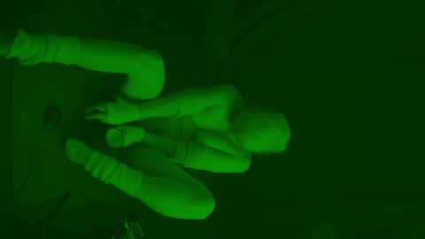 Snapshot of thehungmantis chatting on 02-06-25, 04:31 thehungmantis online show from 02-06-25, 04:31