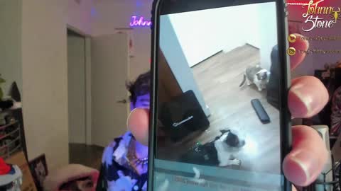 Johnny Stone online show from 12-29-24, 01:13