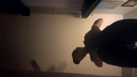 Snapshot of theonlyboi43ver chatting on 01-02-25, 01:49 theonlyboi43ver online show from 01-02-25, 01:49