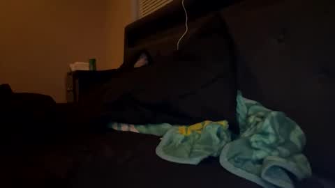 Snapshot of thepipe_layer chatting on 11-16-25, 02:06 ThePipe online show from 11-16-25, 02:06