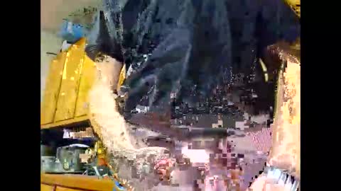 therizzler_1_of_1 online show from 10-22-25, 04:35